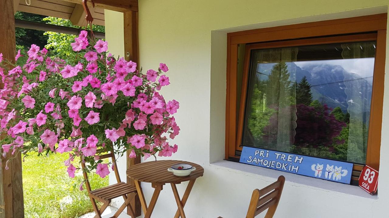 Bovec Home At Three Samoyeds Soča Kültér fotó