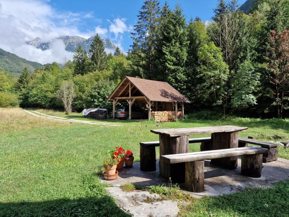 Bovec Home At Three Samoyeds Soča Kültér fotó