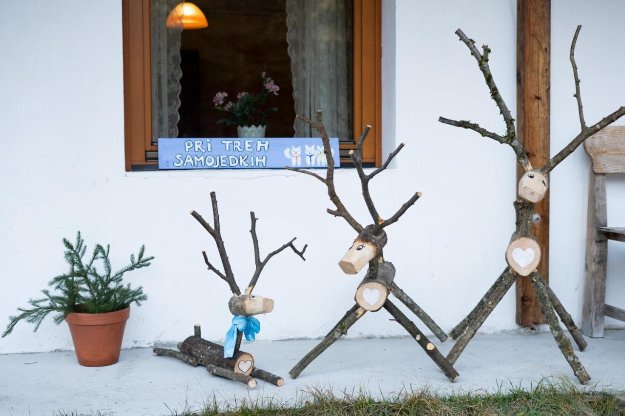 Bovec Home At Three Samoyeds Soča Kültér fotó