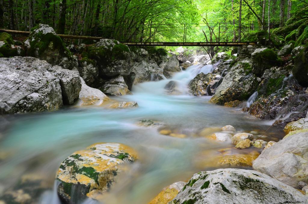 Bovec Home At Three Samoyeds Soča Kültér fotó