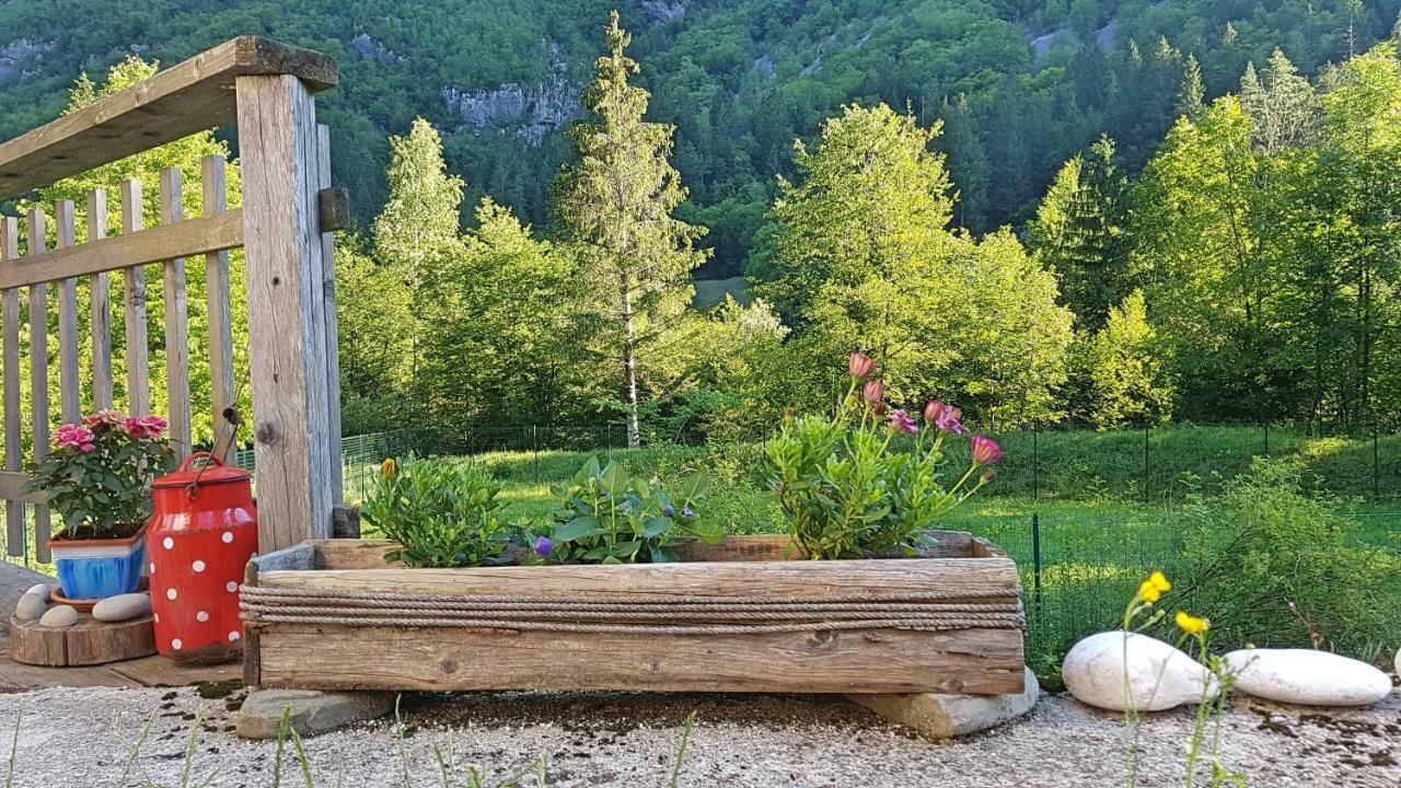 Bovec Home At Three Samoyeds Soča Kültér fotó